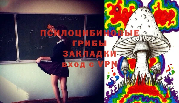 МДПВ Аркадак