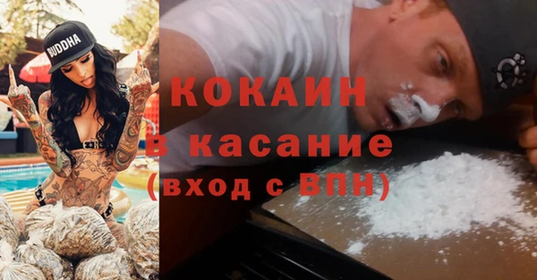 шишки Богородицк