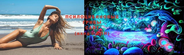 МДПВ Аркадак