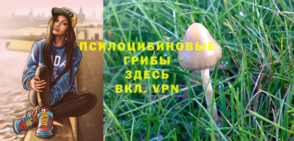 МДПВ Аркадак