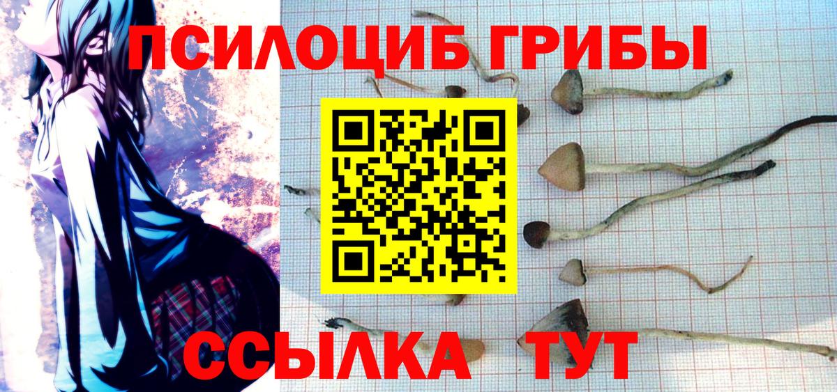 Раменское  Псилоцибиновые грибы GOLDEN TEACHER  купить наркоту  Вход с VPN 